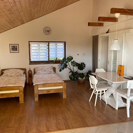 Apartman V Podhuri Jizerskych Hor Zelezny Brod Buitenkant foto