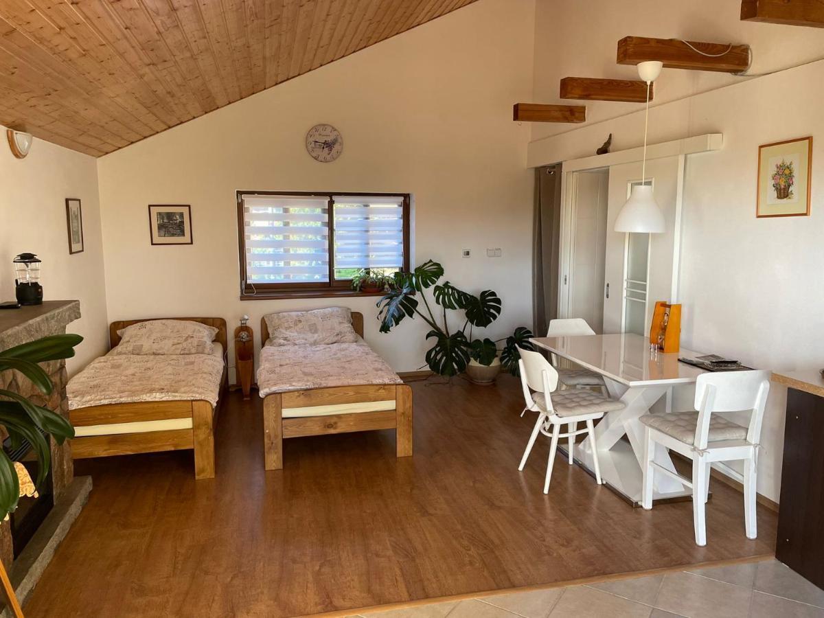 Apartman V Podhuri Jizerskych Hor Zelezny Brod Buitenkant foto