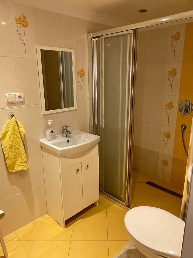 Apartman V Podhuri Jizerskych Hor Zelezny Brod Buitenkant foto
